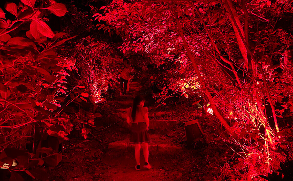 森の中に配置された赤いライト