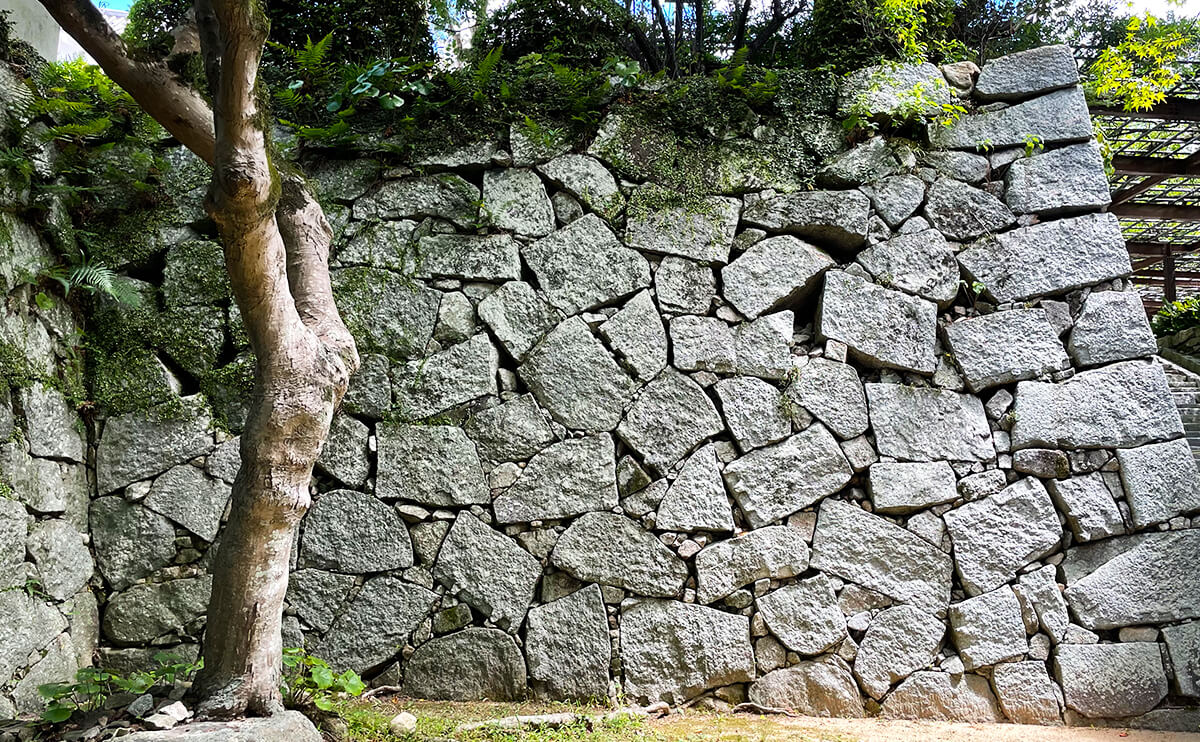 唐津城の石垣は隙間が大きくあいて小さな石を隙間にねじ込んだようになっている