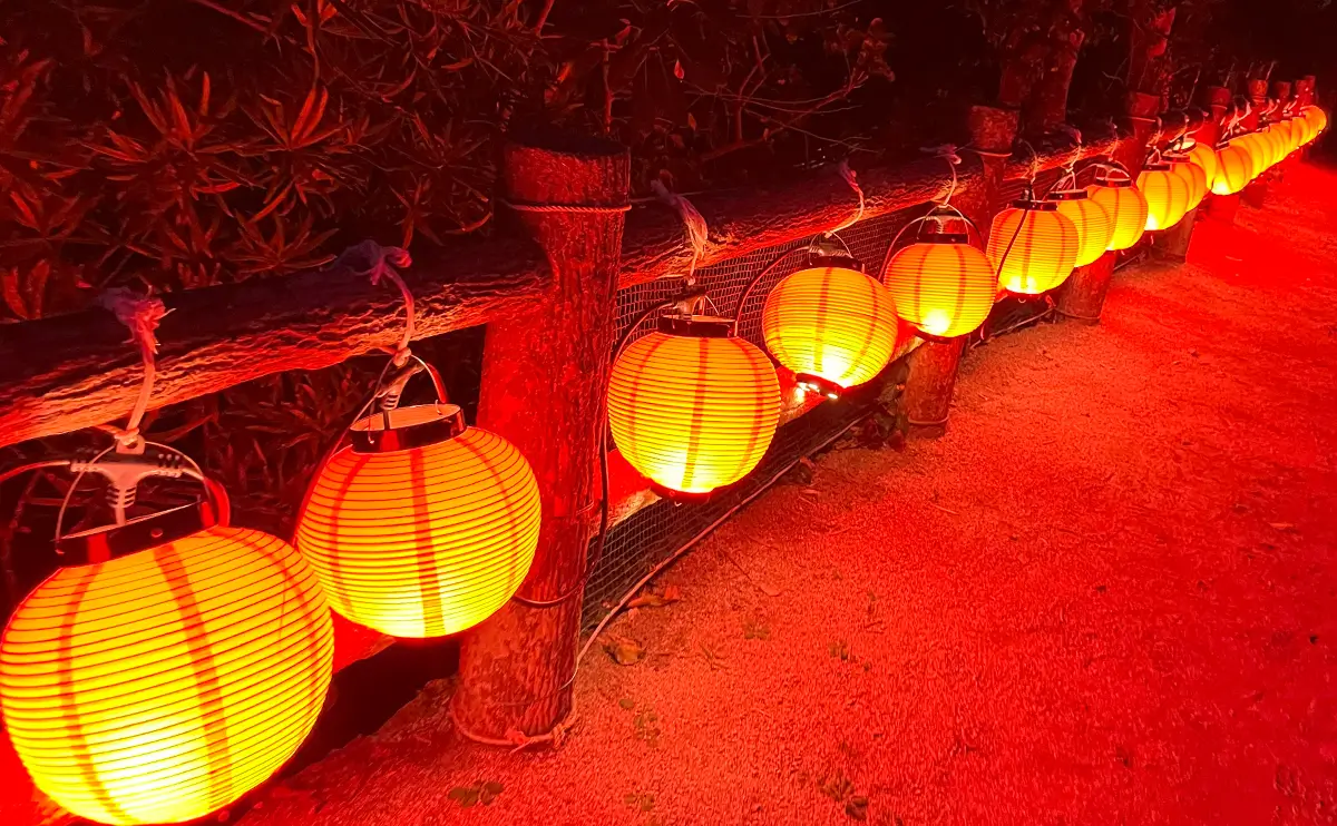 志賀海神社の参道の階段には真っ赤な提灯が並べられている